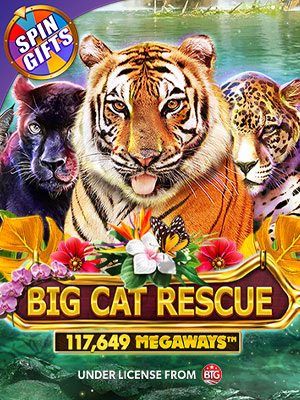 Big Cat Rescue MegaWays - Red Tiger